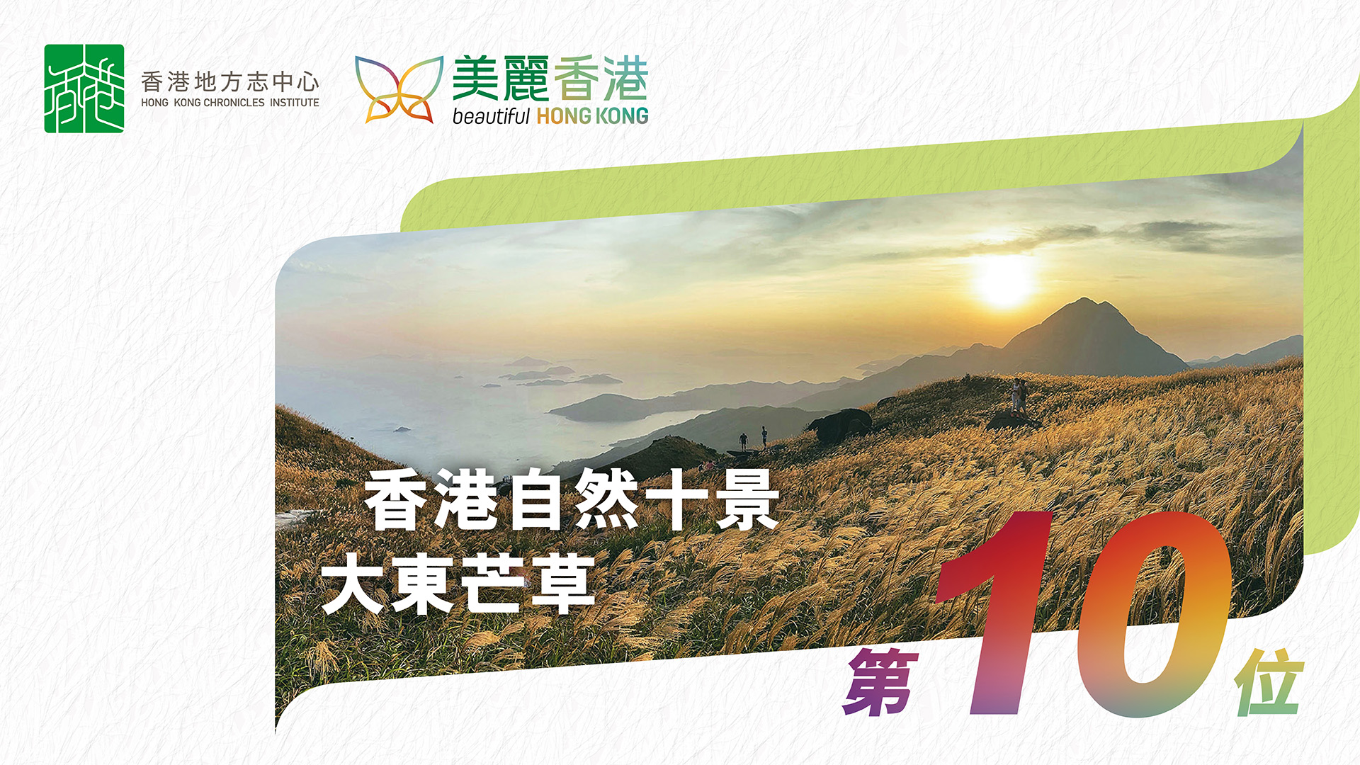 「香港自然十景」第十位：大東芒草