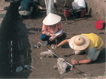 越南青銅時代長睛遺址發掘。（圖片由作者提供）
