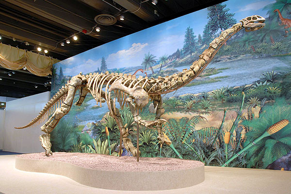 2008年6月22日，雲南省政府向特區政府送出這具祿豐龍化石，約有1.8億萬年的歷史。（圖片來源：政府新聞處）