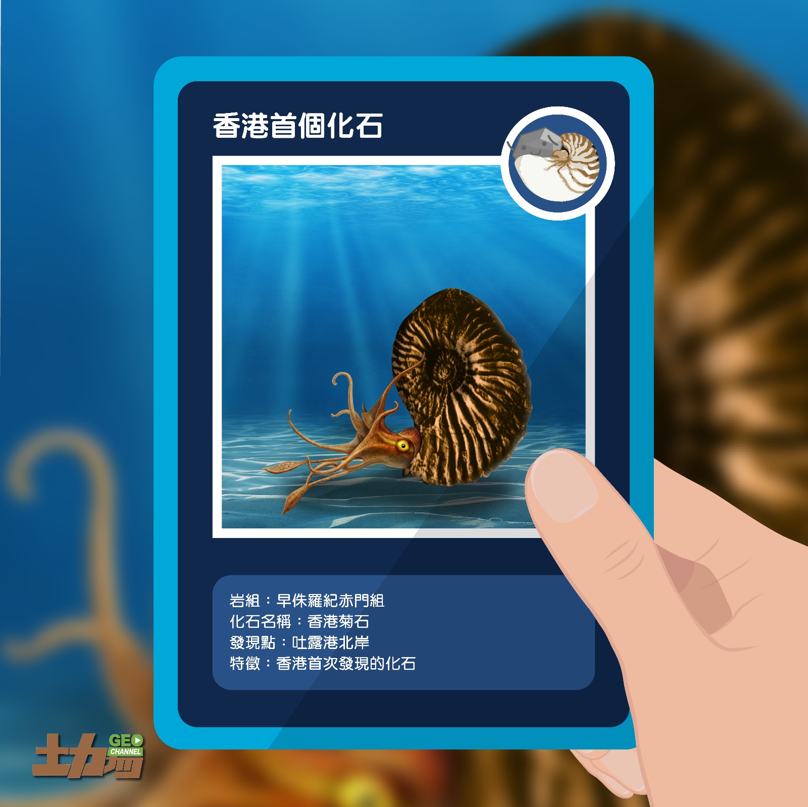 香港首個被發現的古生物化石，是海中霸王、已滅絕的頭足類動物「菊石」。（圖片來源：Geo Channel 土力場 Facebook）