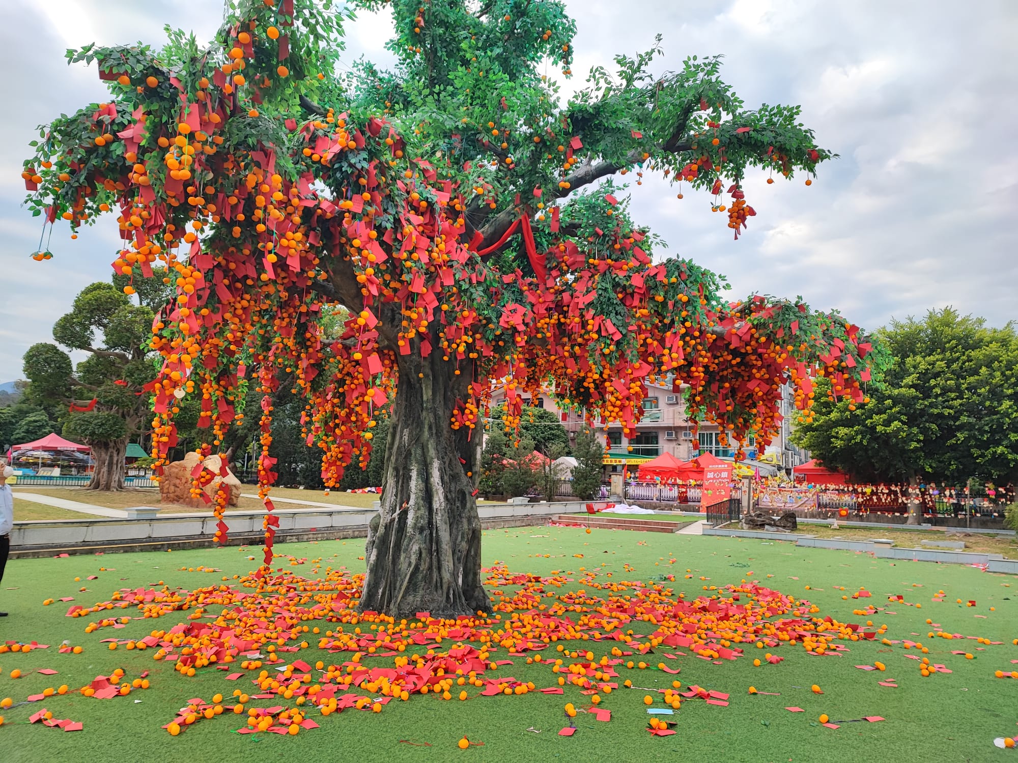 現時林村增設一棵環保塑膠許願樹，代替真的許願樹接收寶牒。（圖片來源：香港許願節facebook）