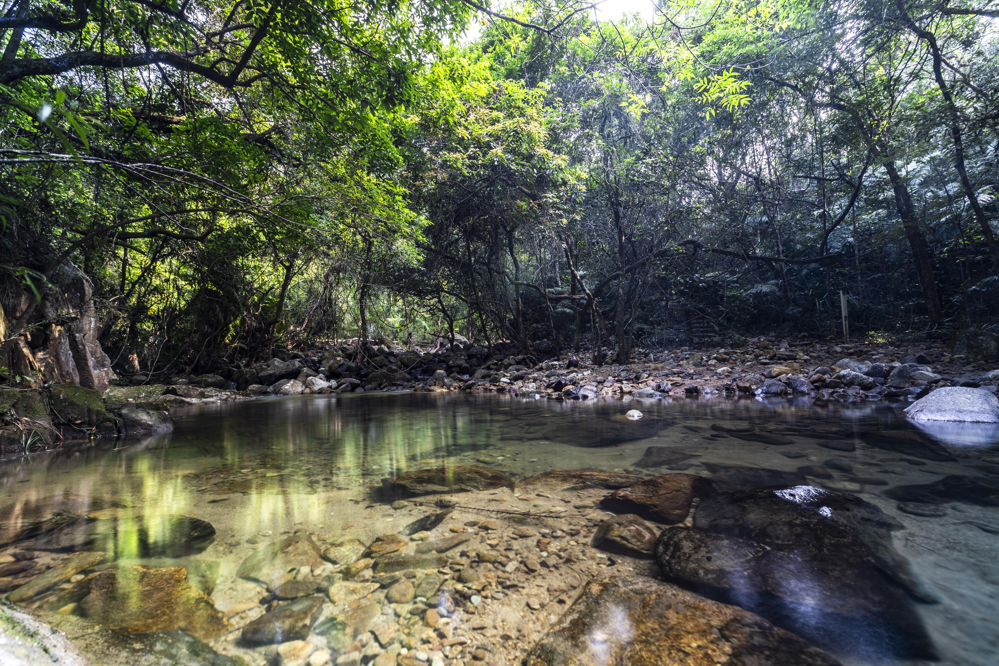 大埔滘有着豐富的生態，是郊遊的好去處。 