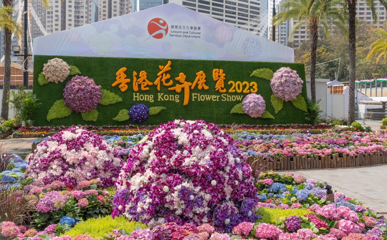 花卉展覽36周年 繡球花遍展場 土壤酸鹼度可改變花色 花語團聚切合疫後香港  