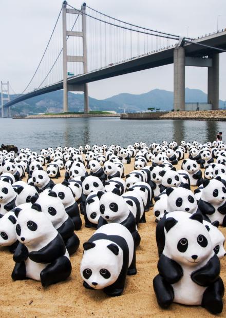 千六紙熊貓走遍全港