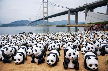 千六紙熊貓走遍全港