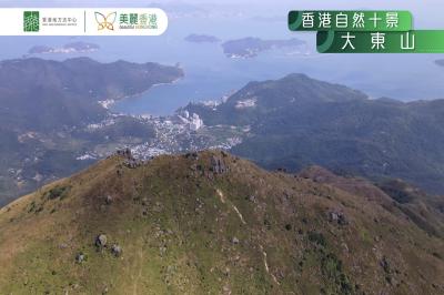 【香港自然十景】第十位－大東芒草（大東山）